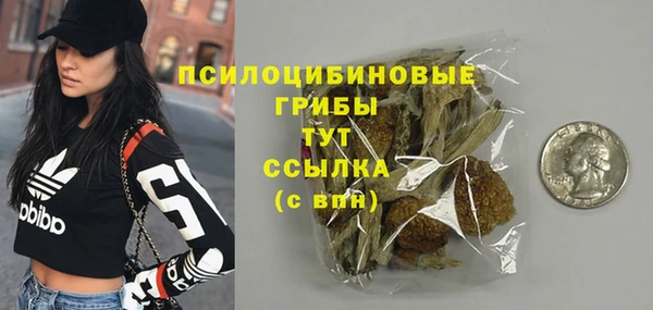 гидра Богородицк