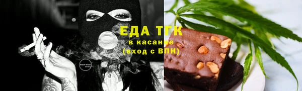 гидра Богородицк