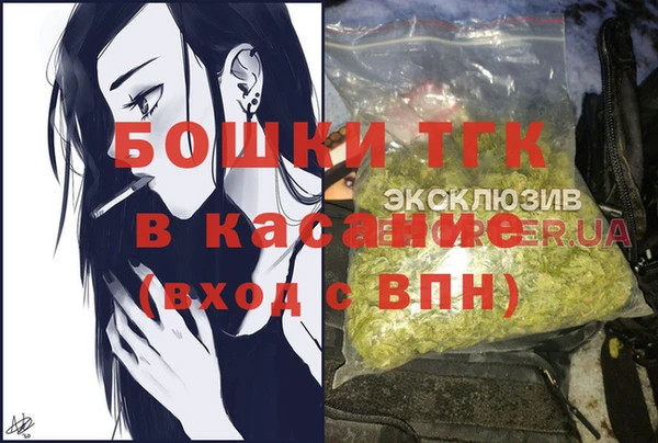 гидра Богородицк