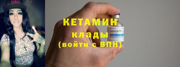 гидра Богородицк