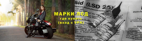 МДПВ Липки