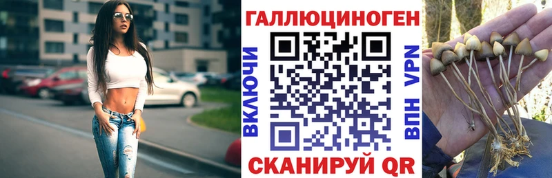 Псилоцибиновые грибы прущие грибы  дарнет шоп  Болгар 